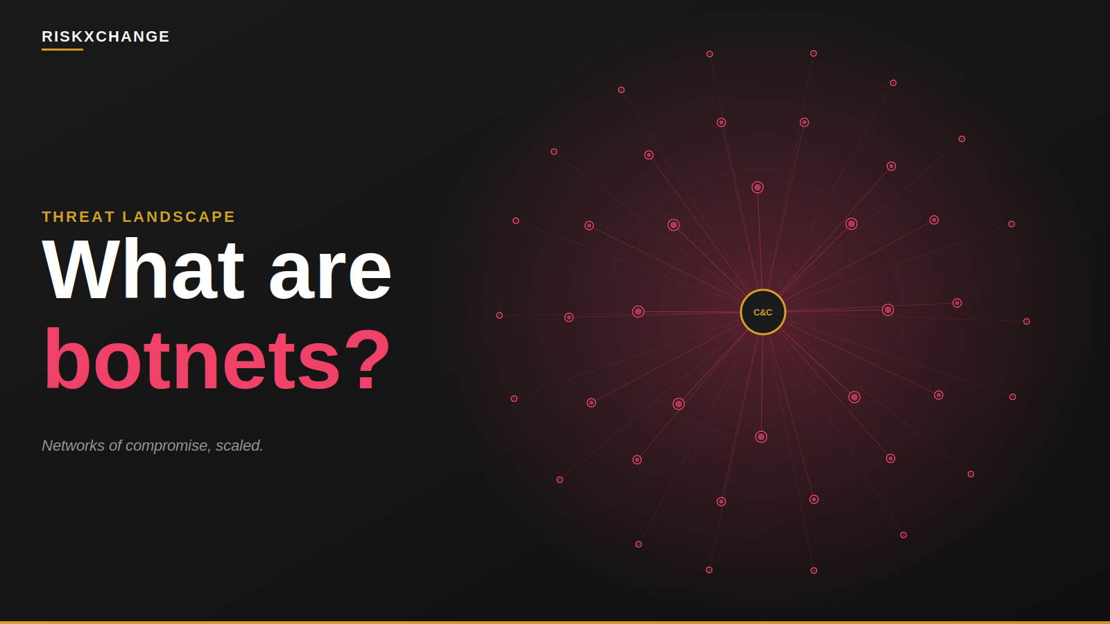 What are botnets?